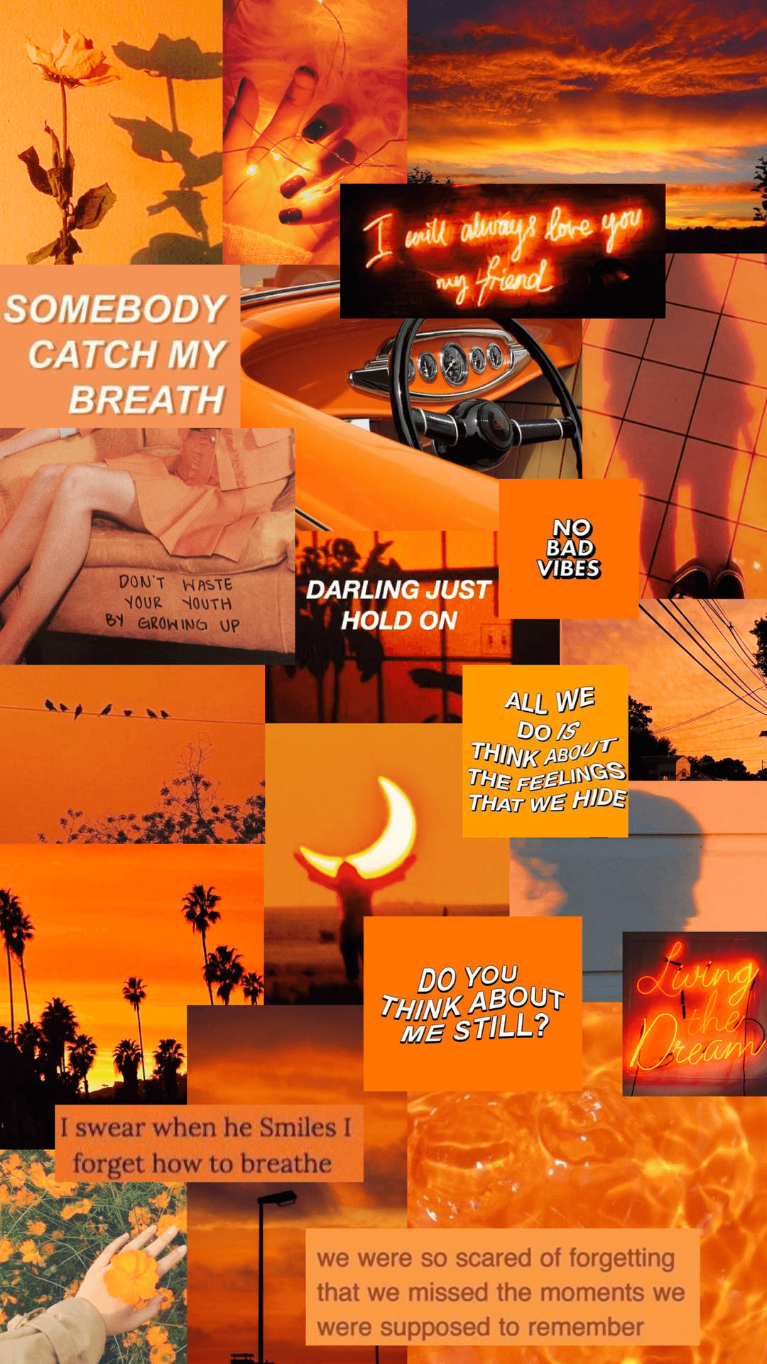 Collage In Pastel Orange Aesthetic Color Background