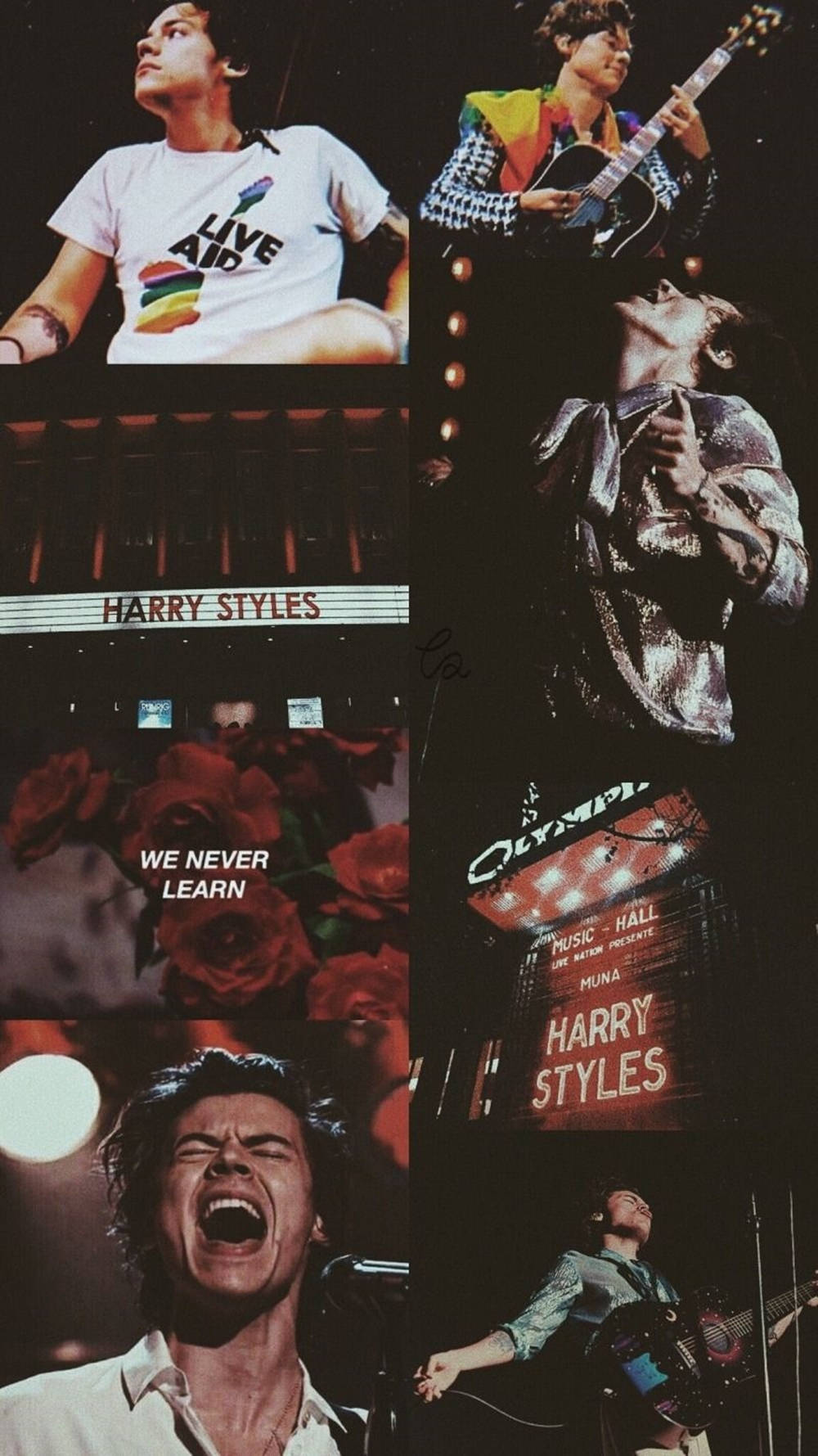 Collage Of Harry Styles Aesthetic Theme Background