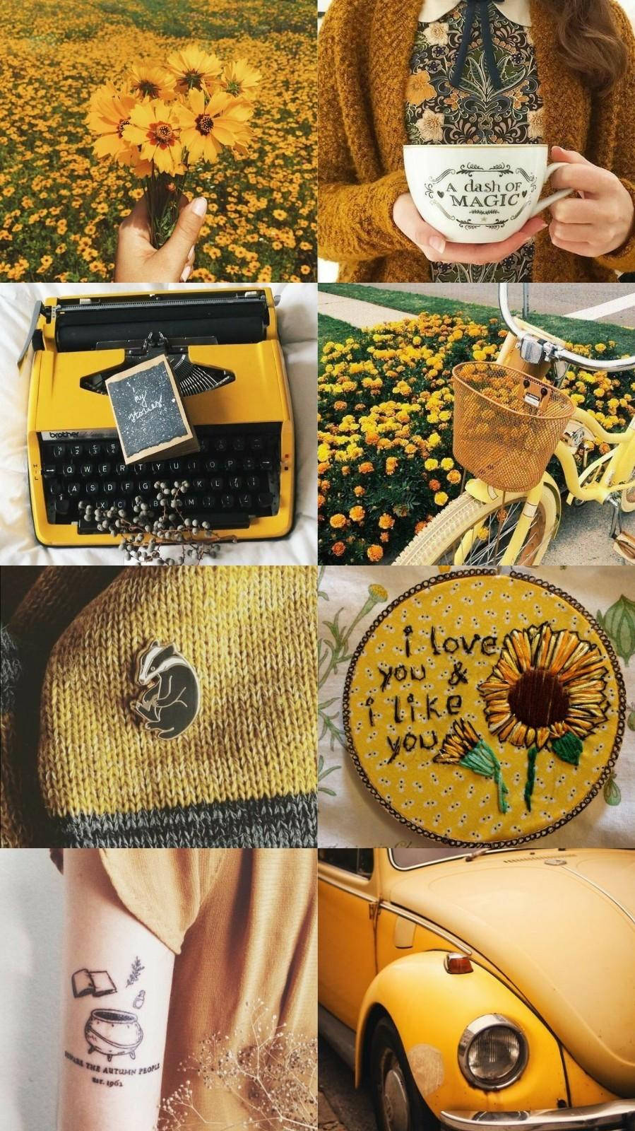 Collage Of Yellow Vintage Aesthetic Photo Background