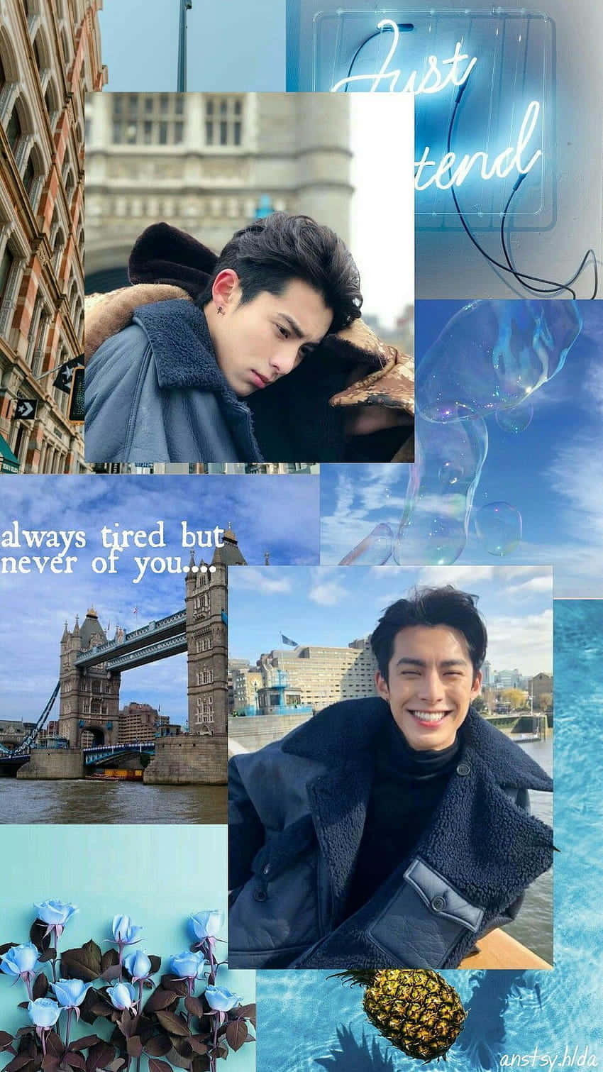 Collage Picture Of Dylan Wang Background