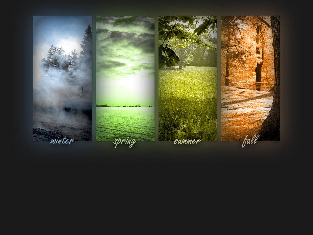 Collage-styled Seasons Background