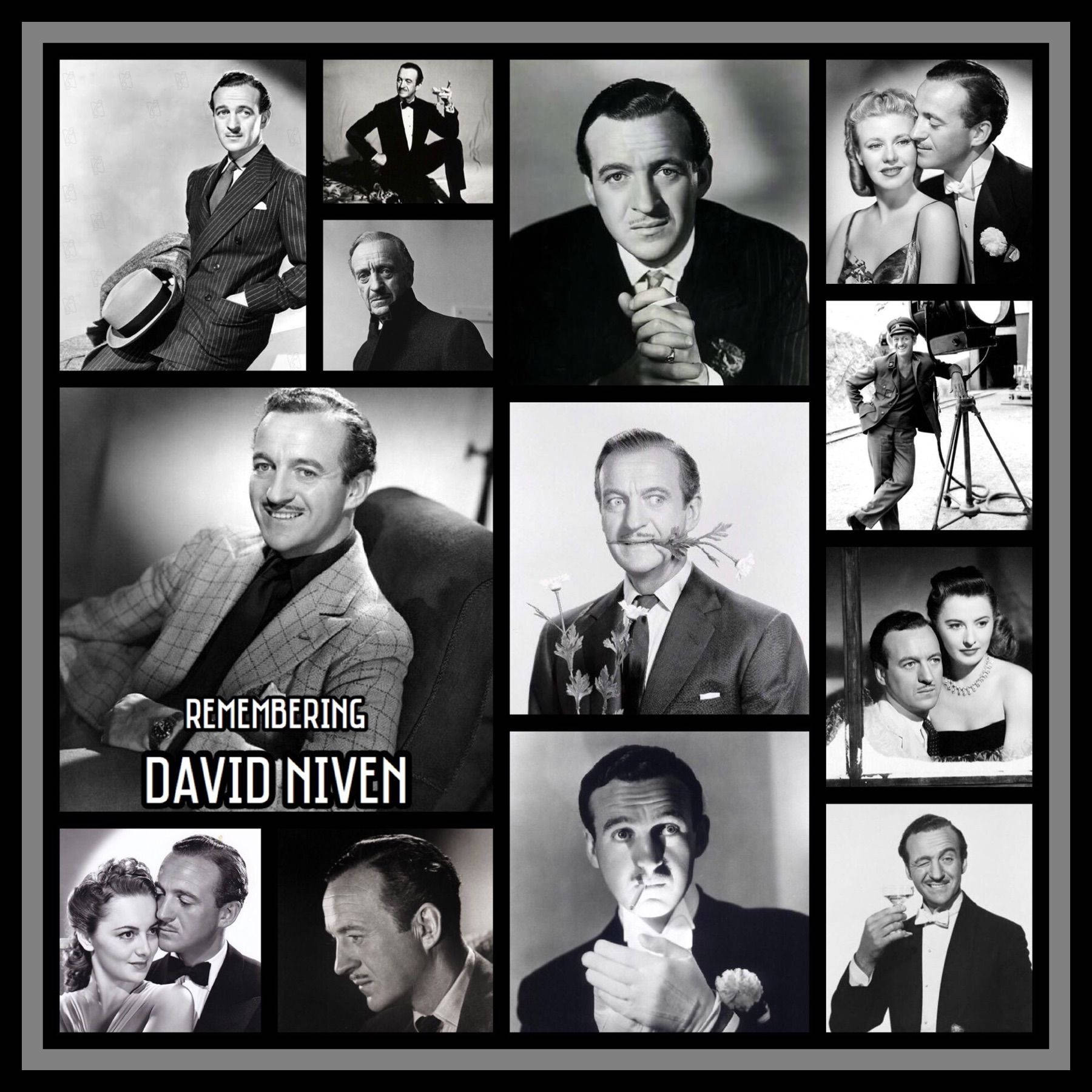 Collection Of Photos David Niven Background