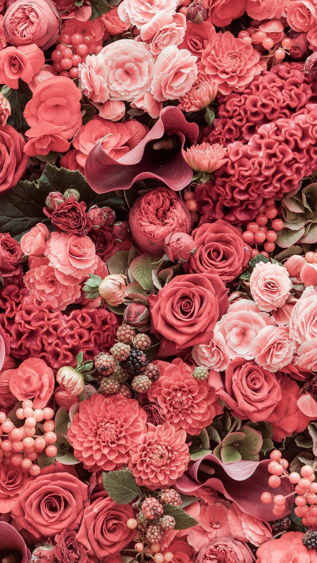 Collection Of Pink Flowers Background
