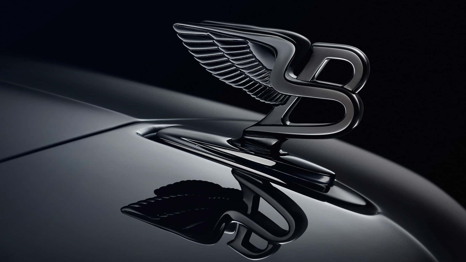 Collection Of Various Car Logos On A White Background Background