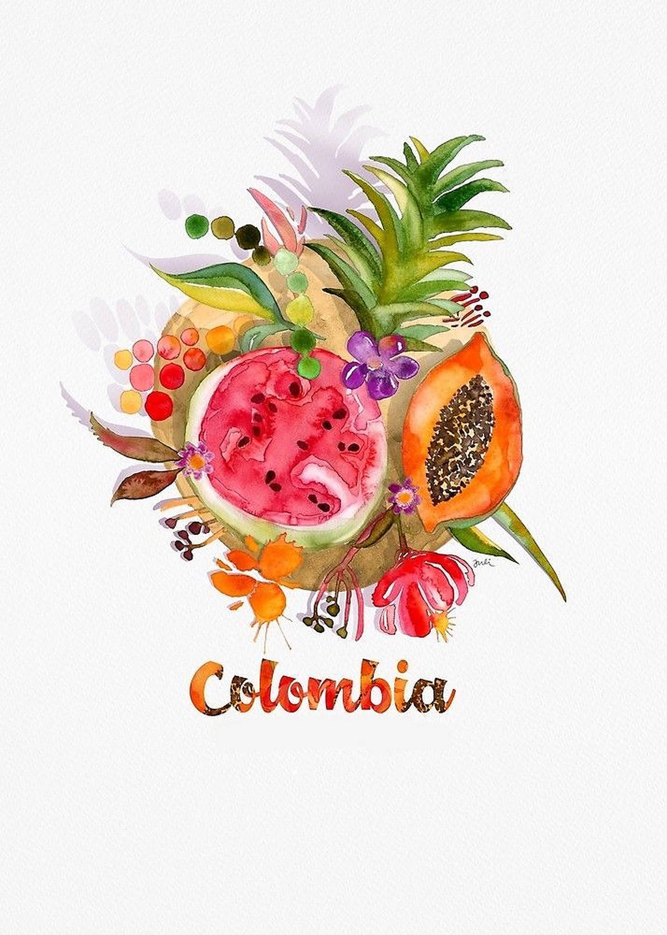 Colombia Fruits Illustration Background