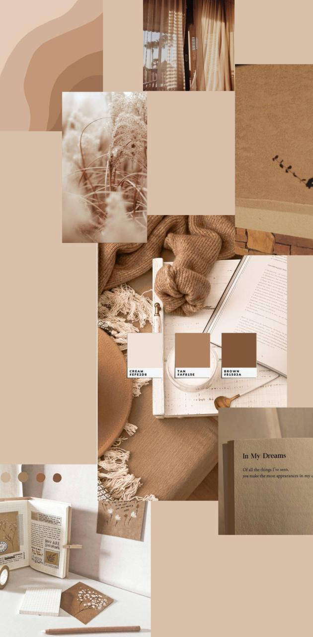 Color Beige Aesthetic Collage