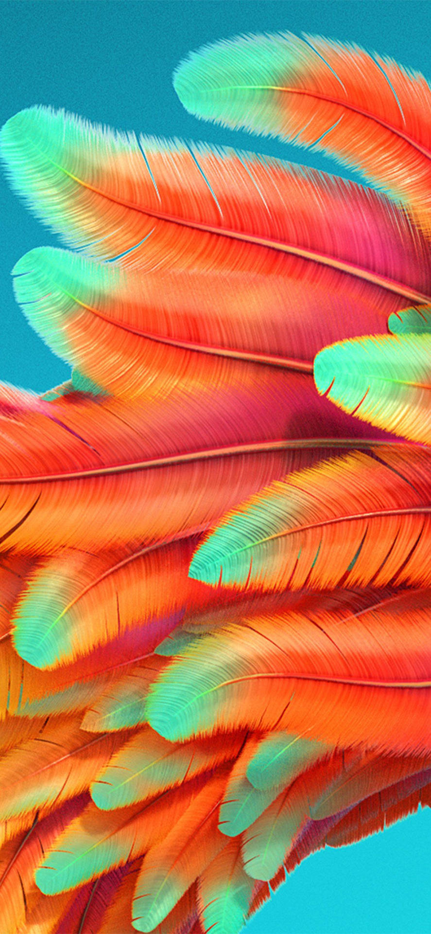 Color Iphone Rainbow Bird Feathers Background