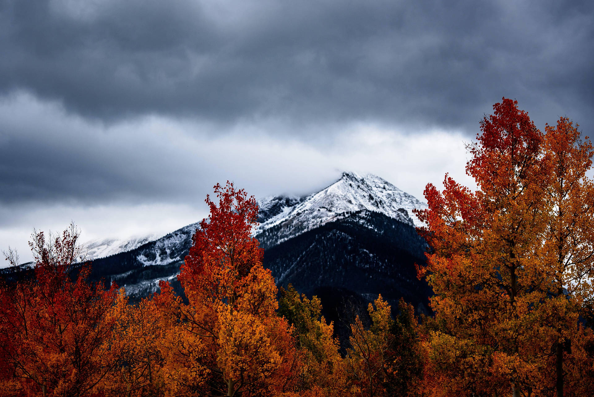 Colorado Fall Aesthetic View Background