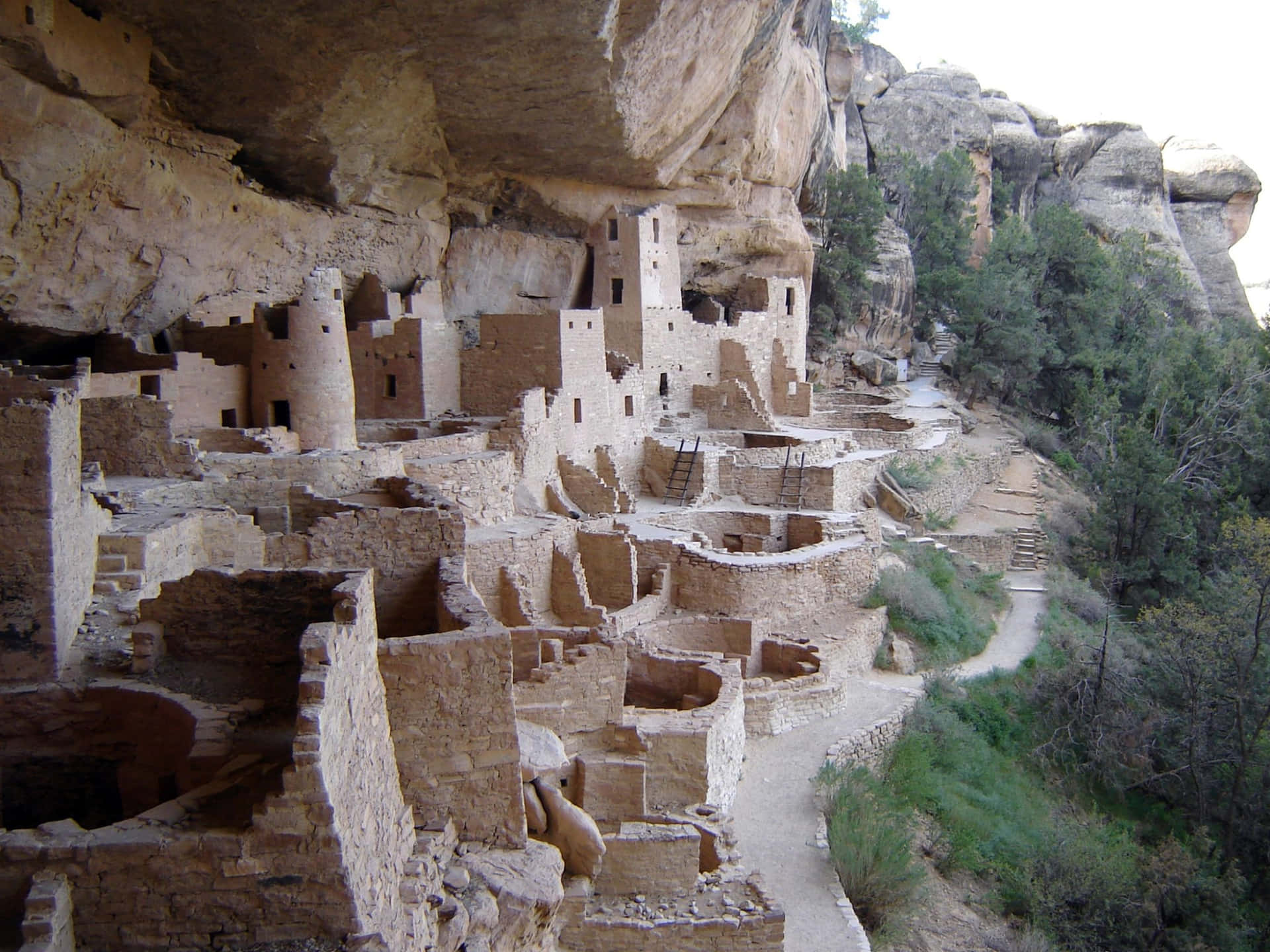 Colorado Mesa Verde National Park Cliff Palace Background