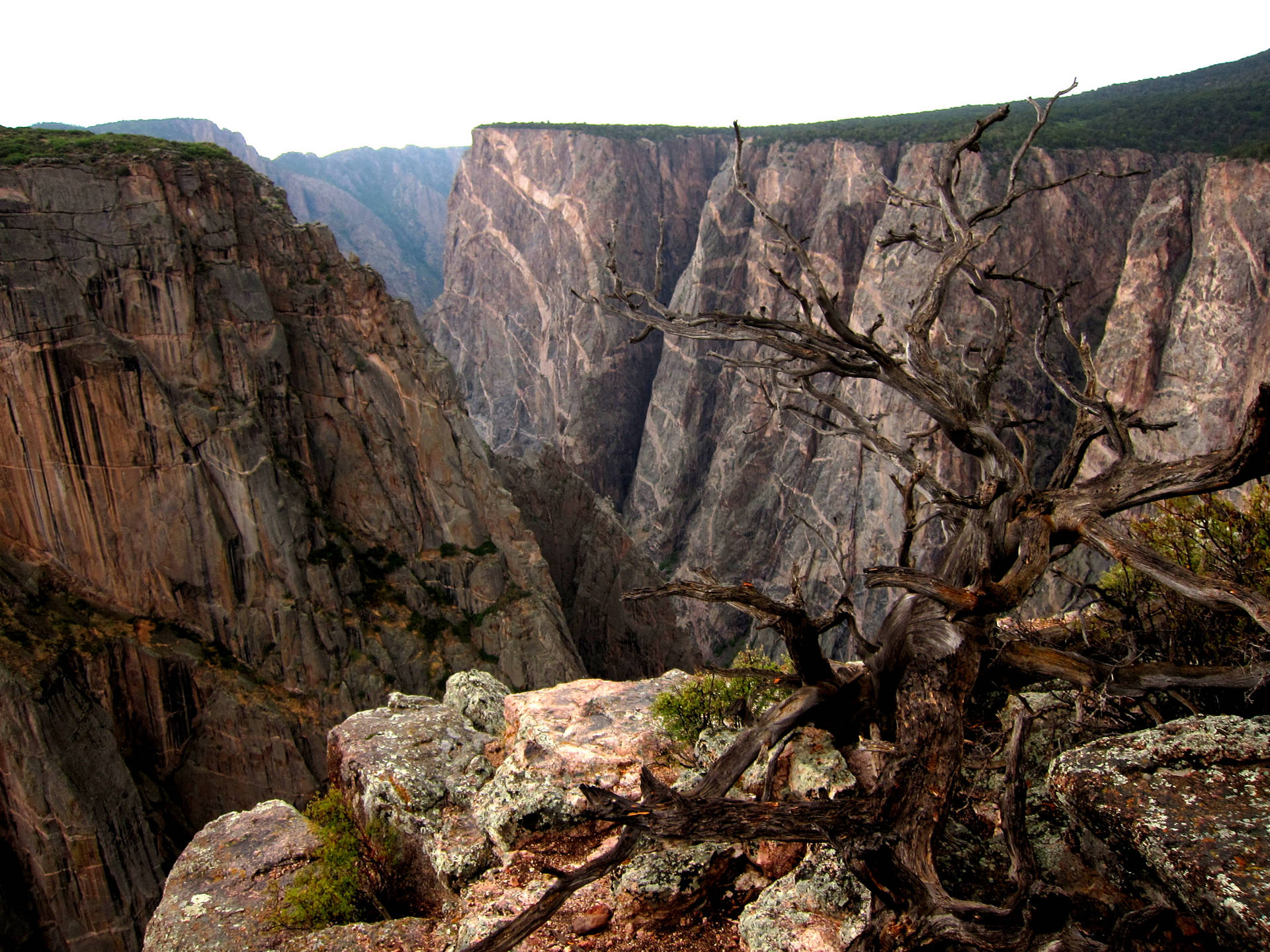 Colorado's Black Canyon Close Up