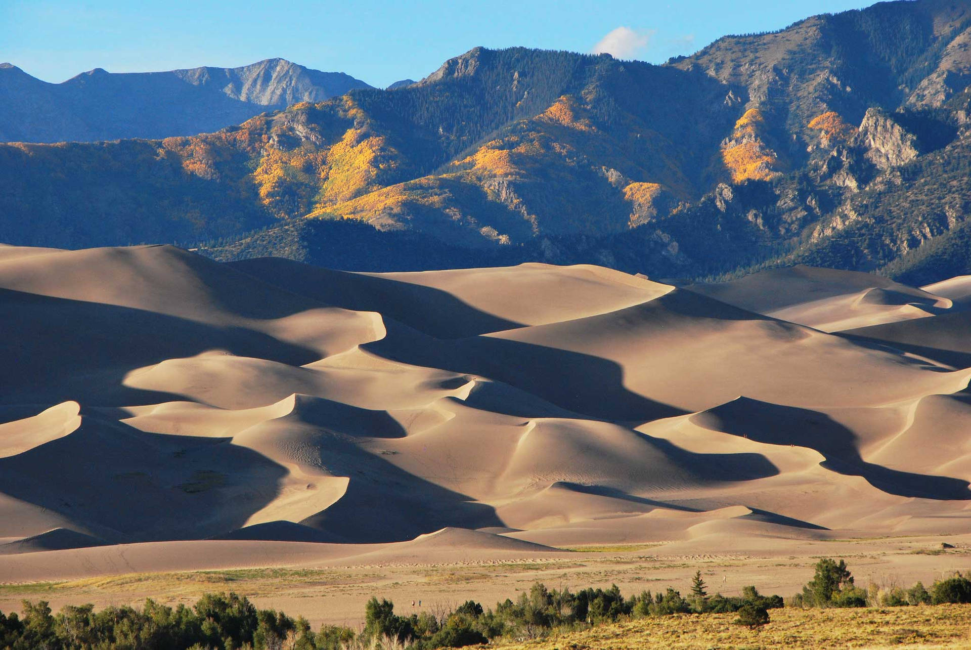 Colorado's Great Sand Dunes Park Background