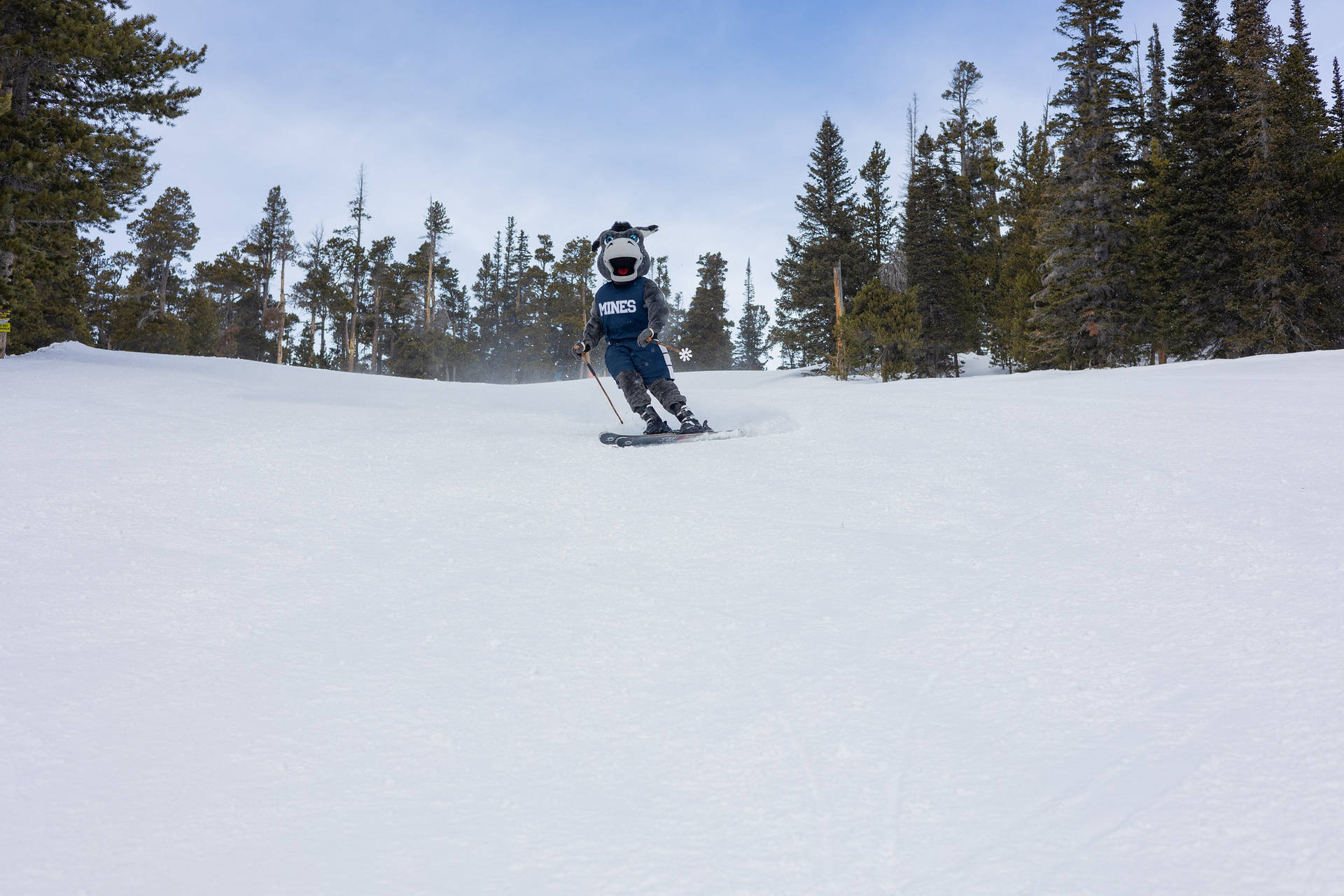 Colorado School Of Mines Blaster Skiing Background