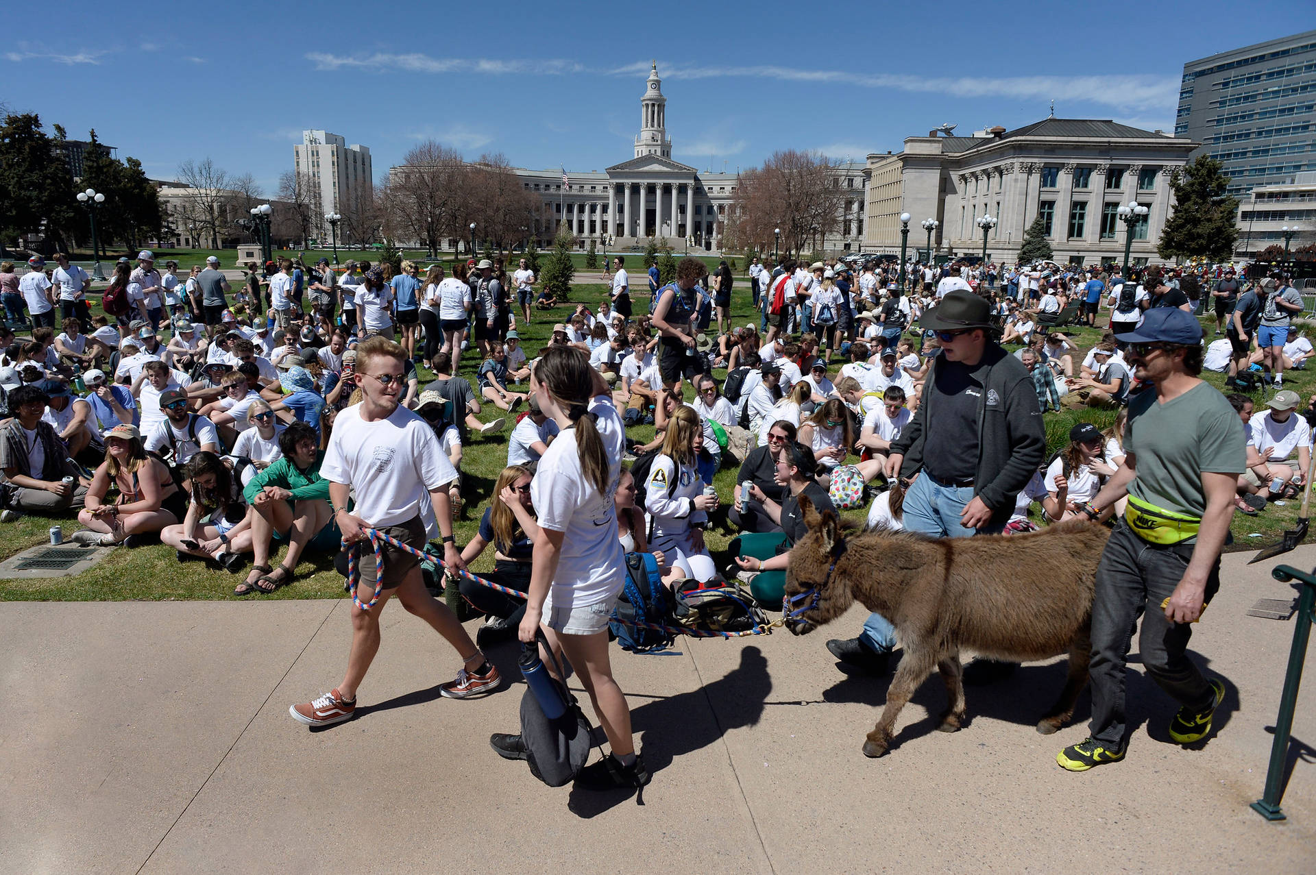 Colorado School Of Mines Donkey Background