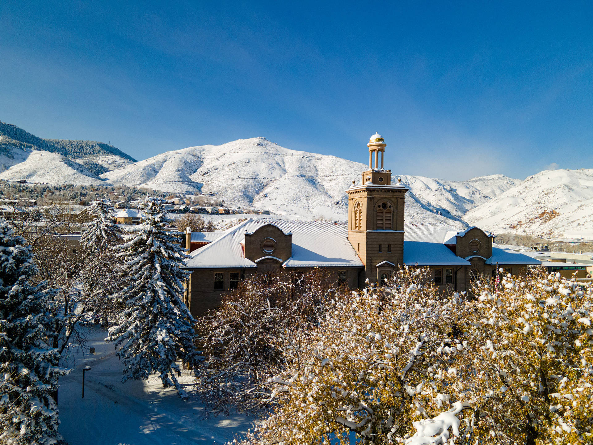 Colorado School Of Mines Evergreens Background