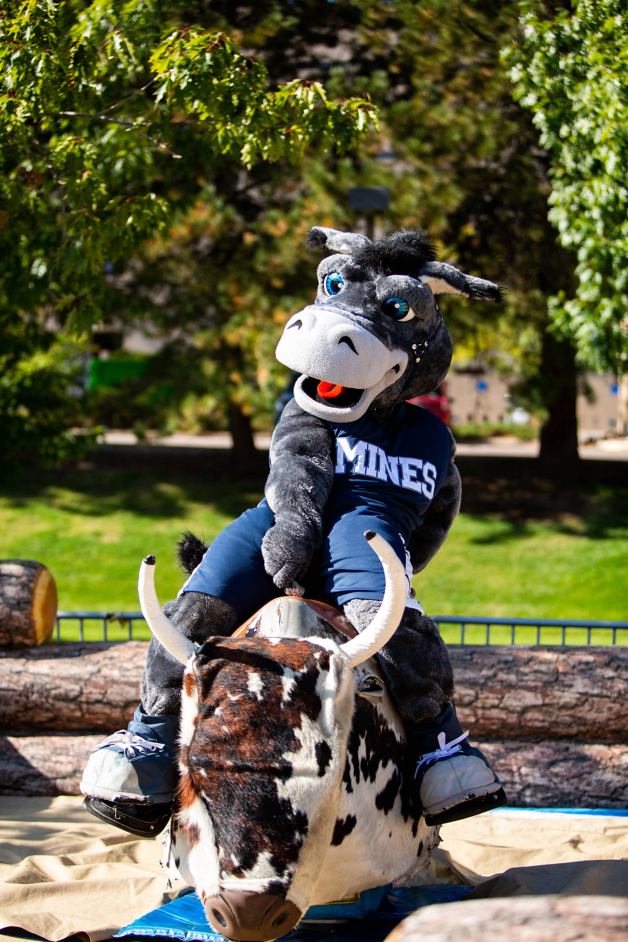 Colorado School Of Mines Mascot Riding Background