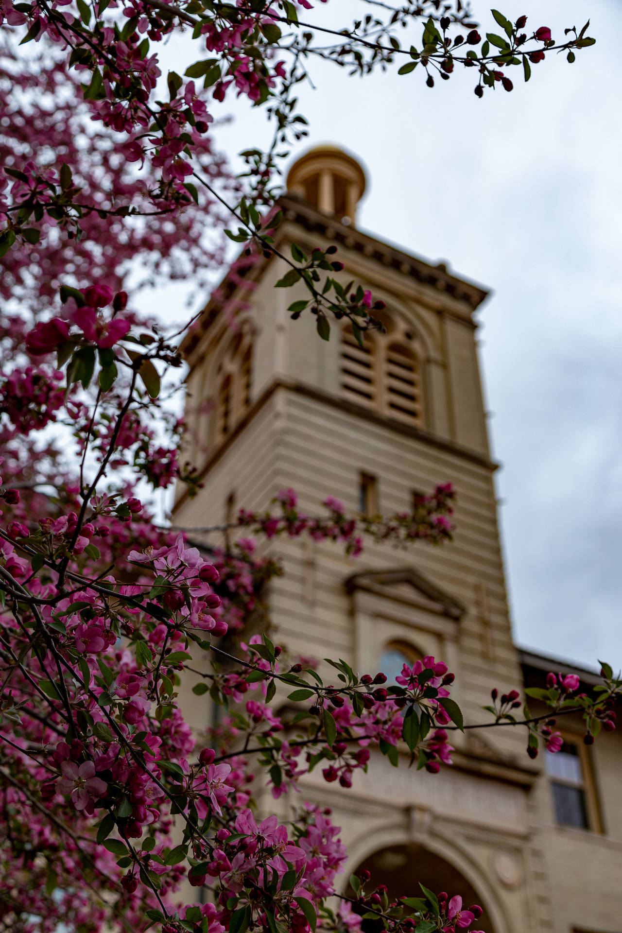 Colorado School Of Mines Tower From Below Background