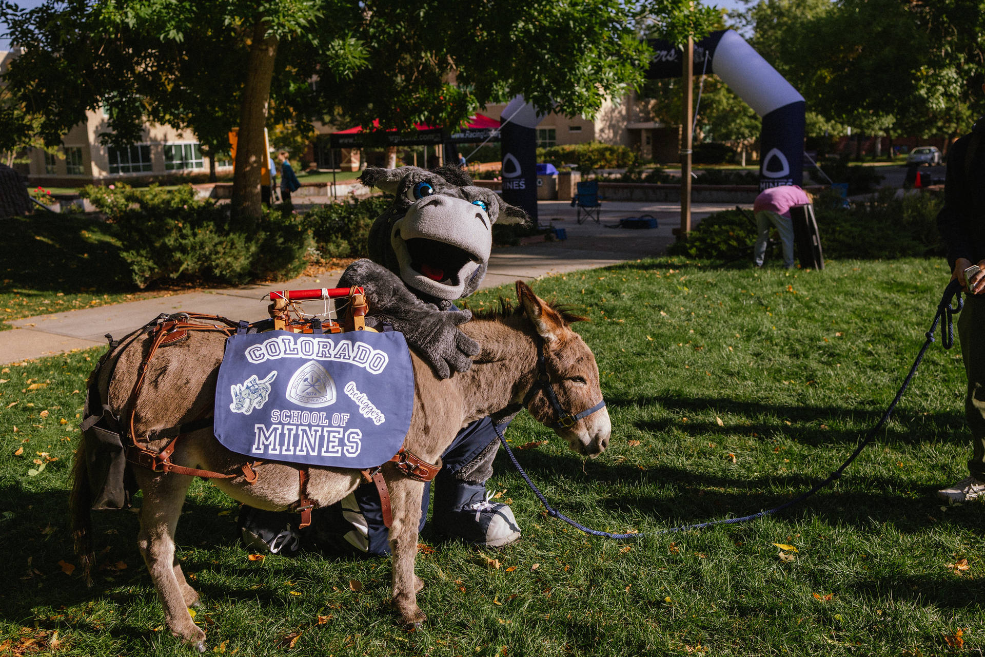 Colorado School Of Mines Two Mascots Background