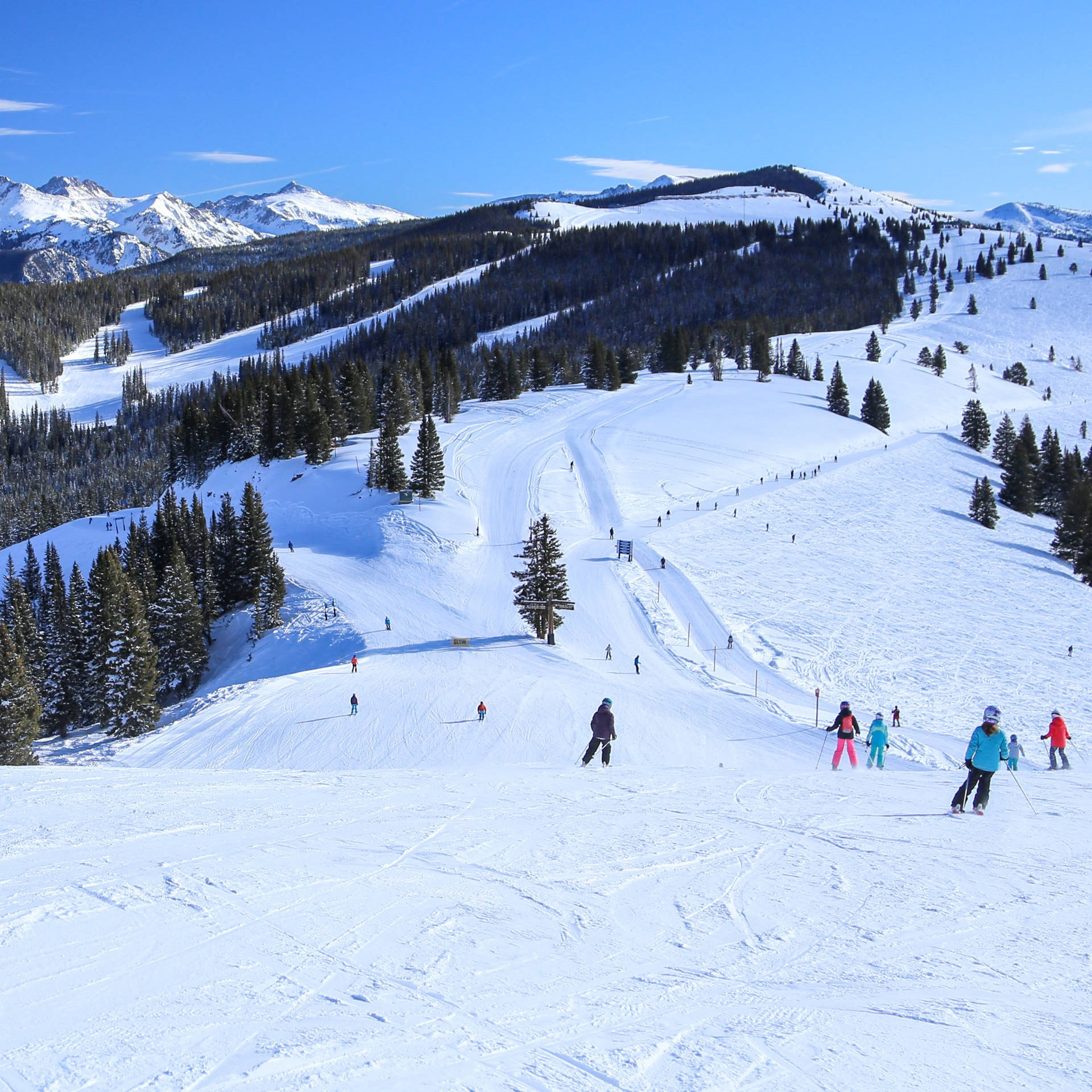 Colorado Vail Ski Trail Background
