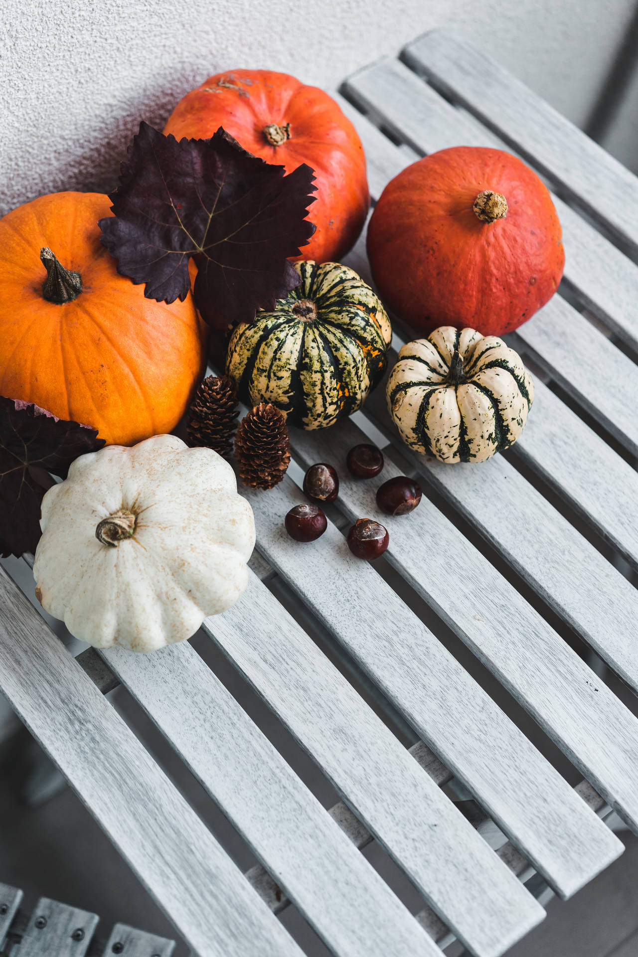 Colored Rustic Fall Pumpkins Background