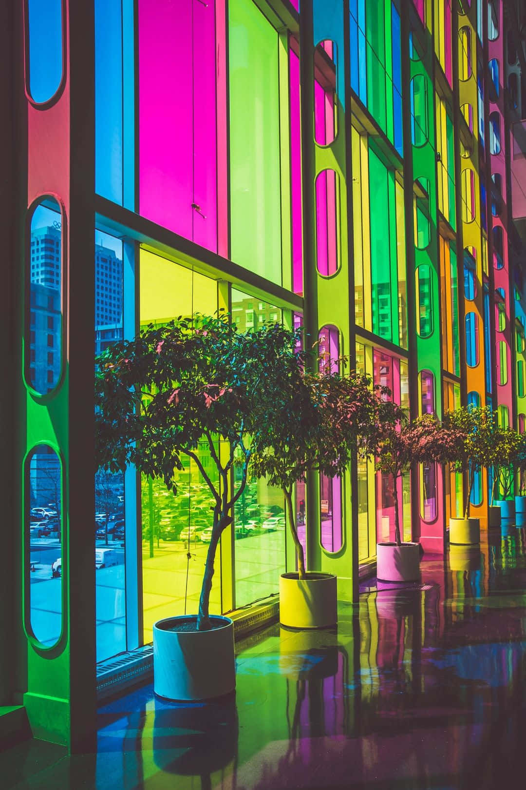 Colorful Aesthetic Windows And Plants