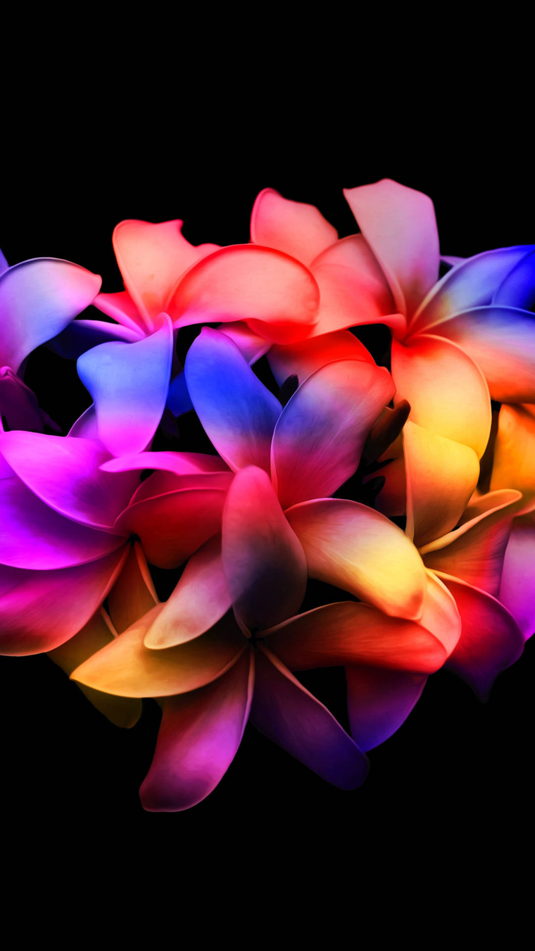 Colorful Amoled Plumeria Flower Petals Background