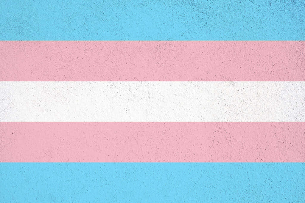 Colorful And Cute Lgbt Transgender Flag Wallpaper Background