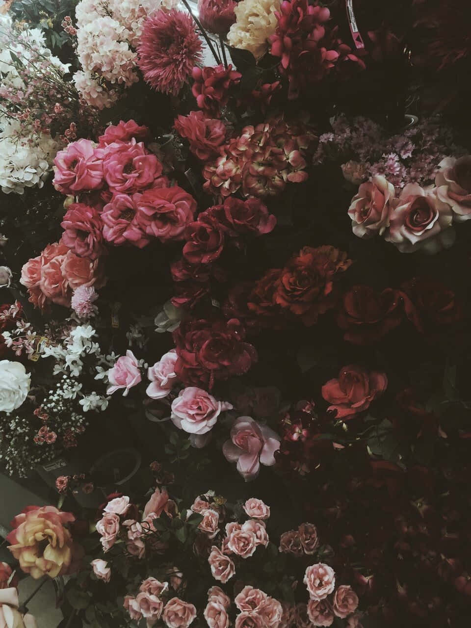 Colorful And Mysterious Dark Flower Aesthetic Background