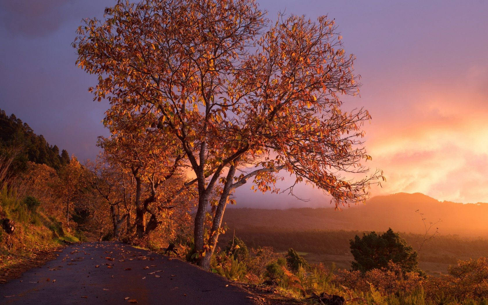 Colorful Autumn Sunset Background