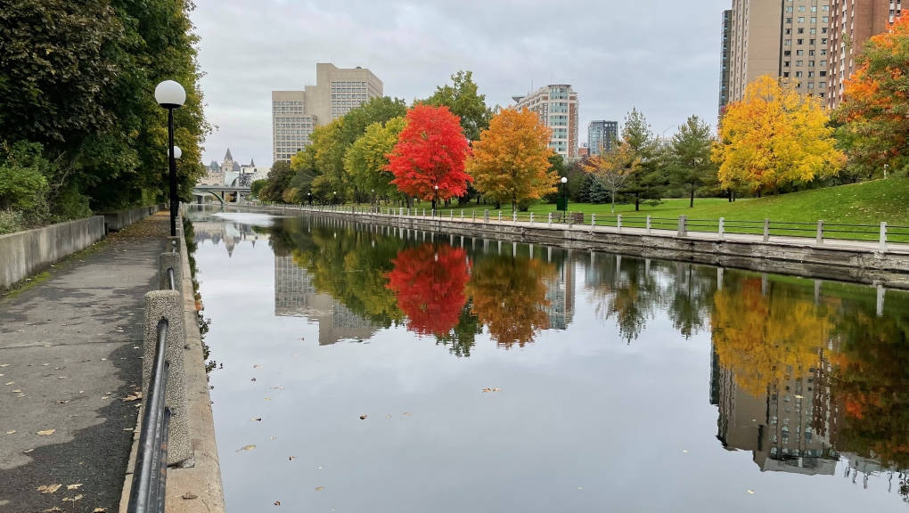 Colorful Autumn Trees By The Rideau Canal In Ottawa