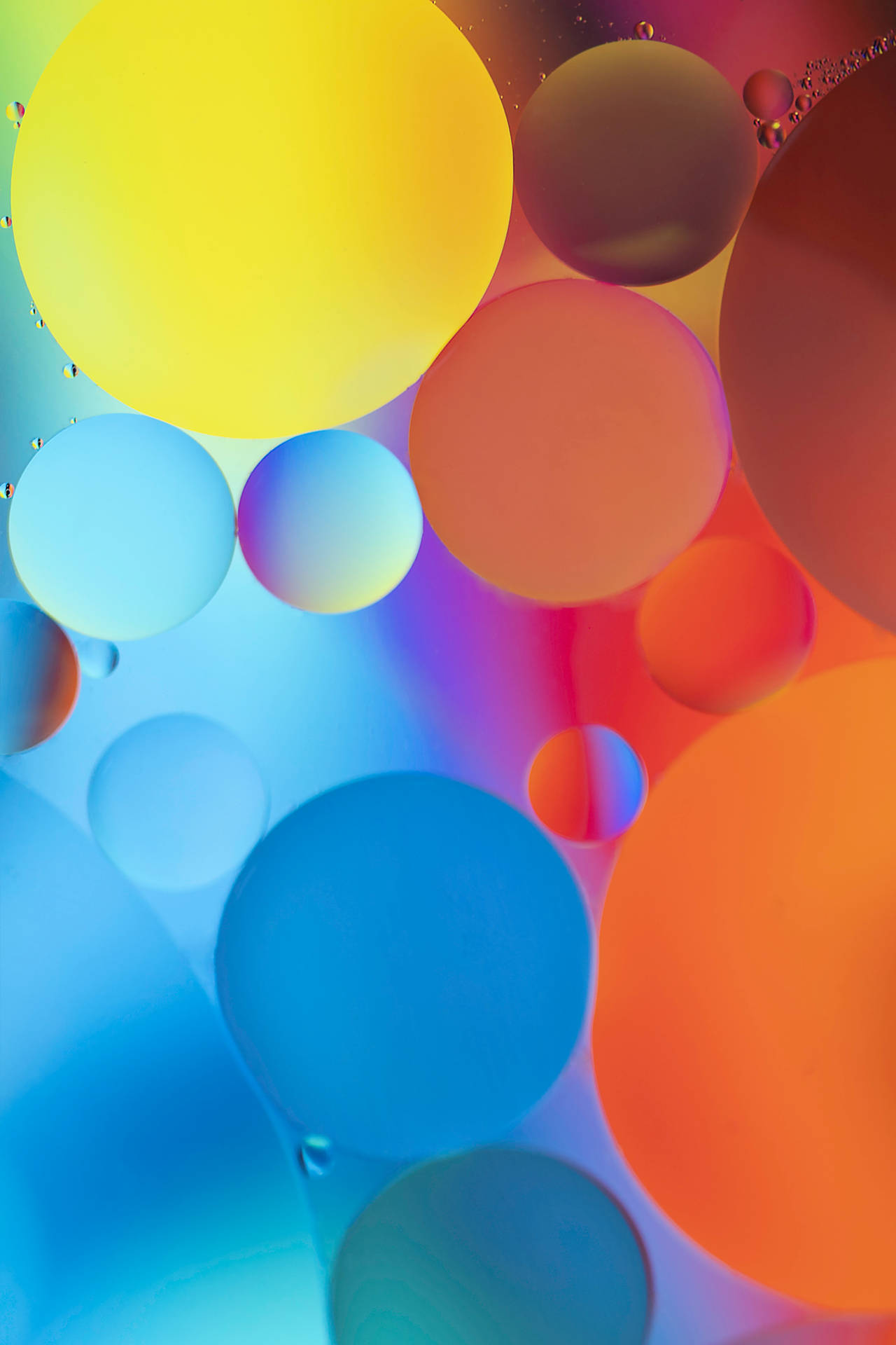 Colorful Balloon Designs Background