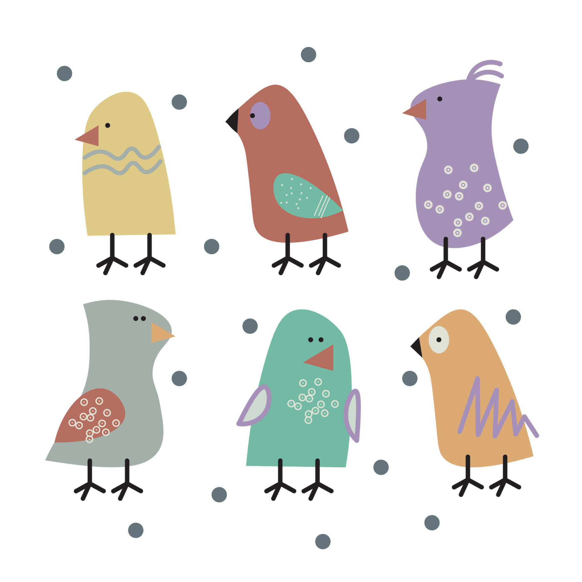 Colorful Birds Cute Things Background