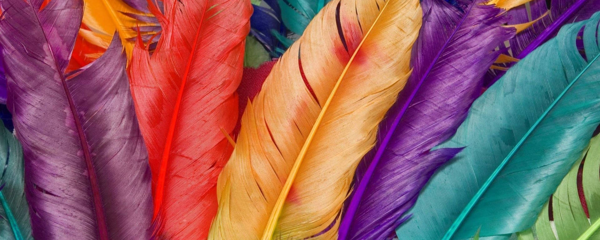 Colorful Bright Pastel Feathers Background