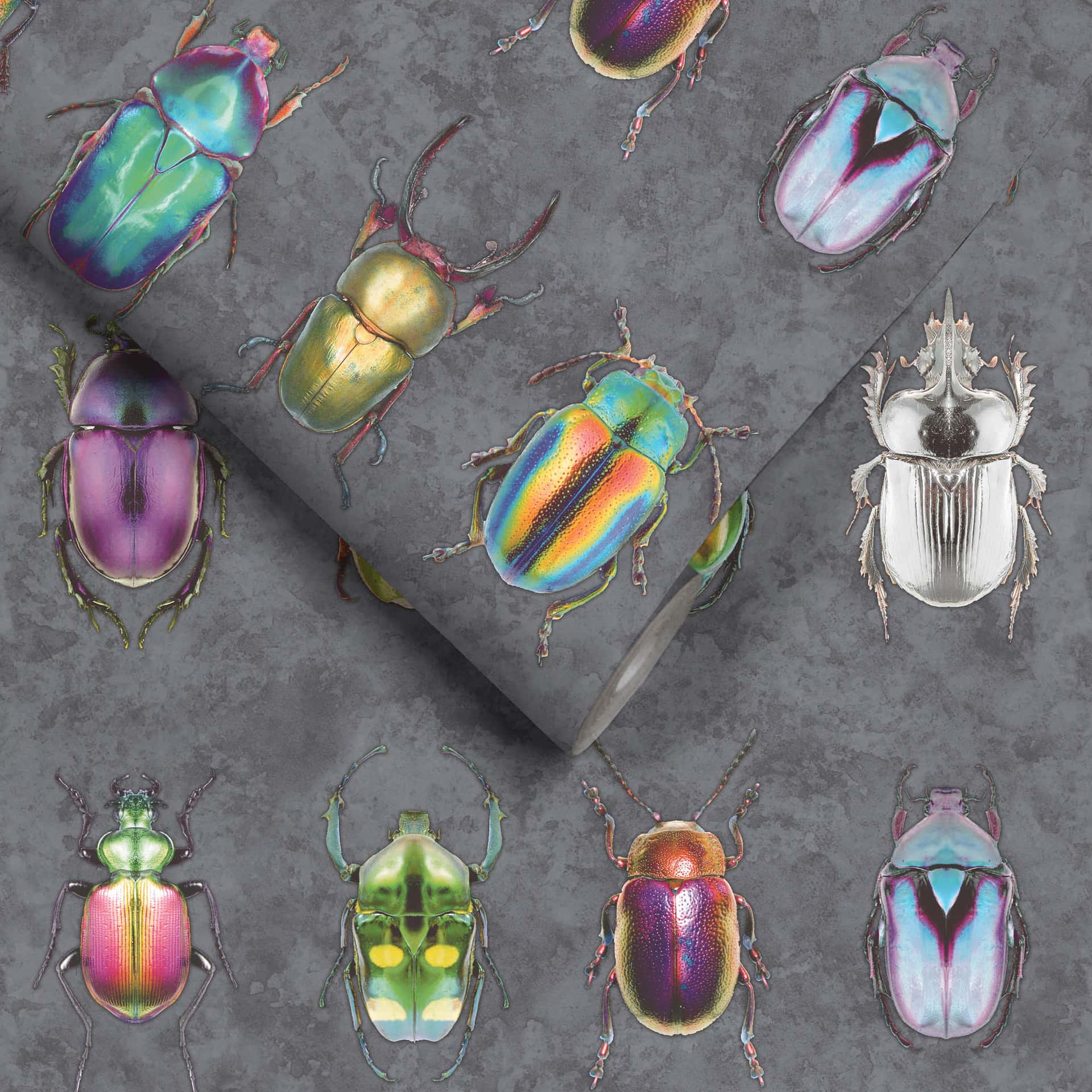 Colorful Bug Wall Insects Decor Background