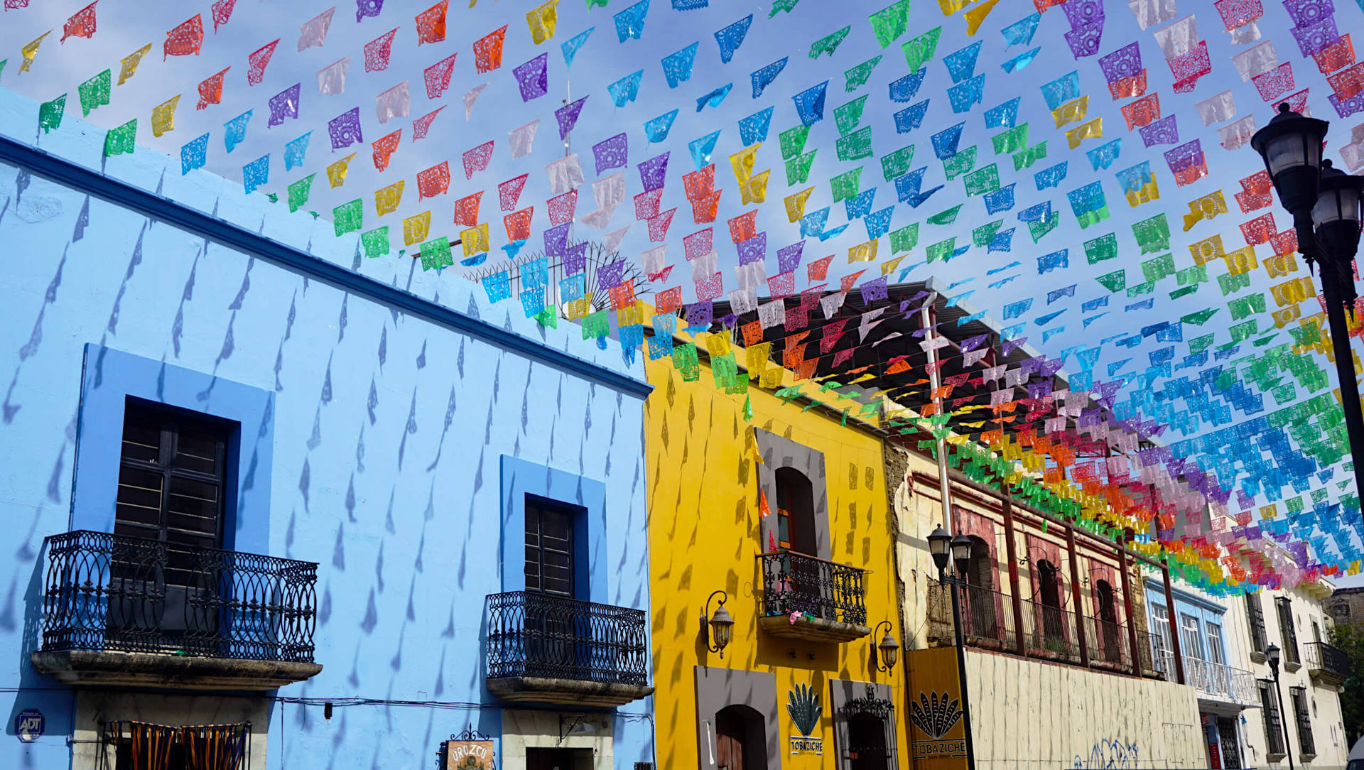 Colorful Buntings And Houses In Oaxaca Background