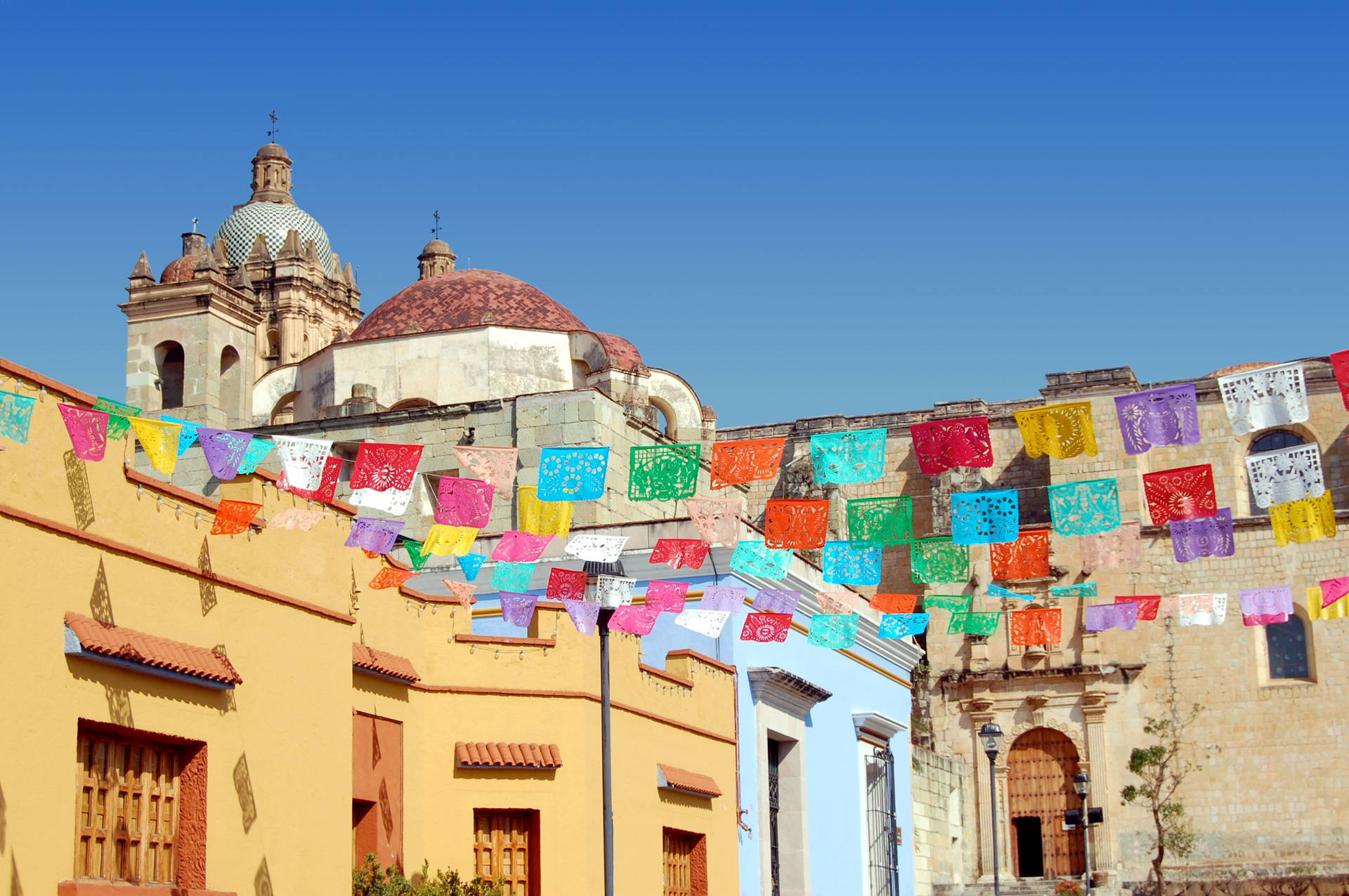 Colorful Buntings In Oaxaca Background