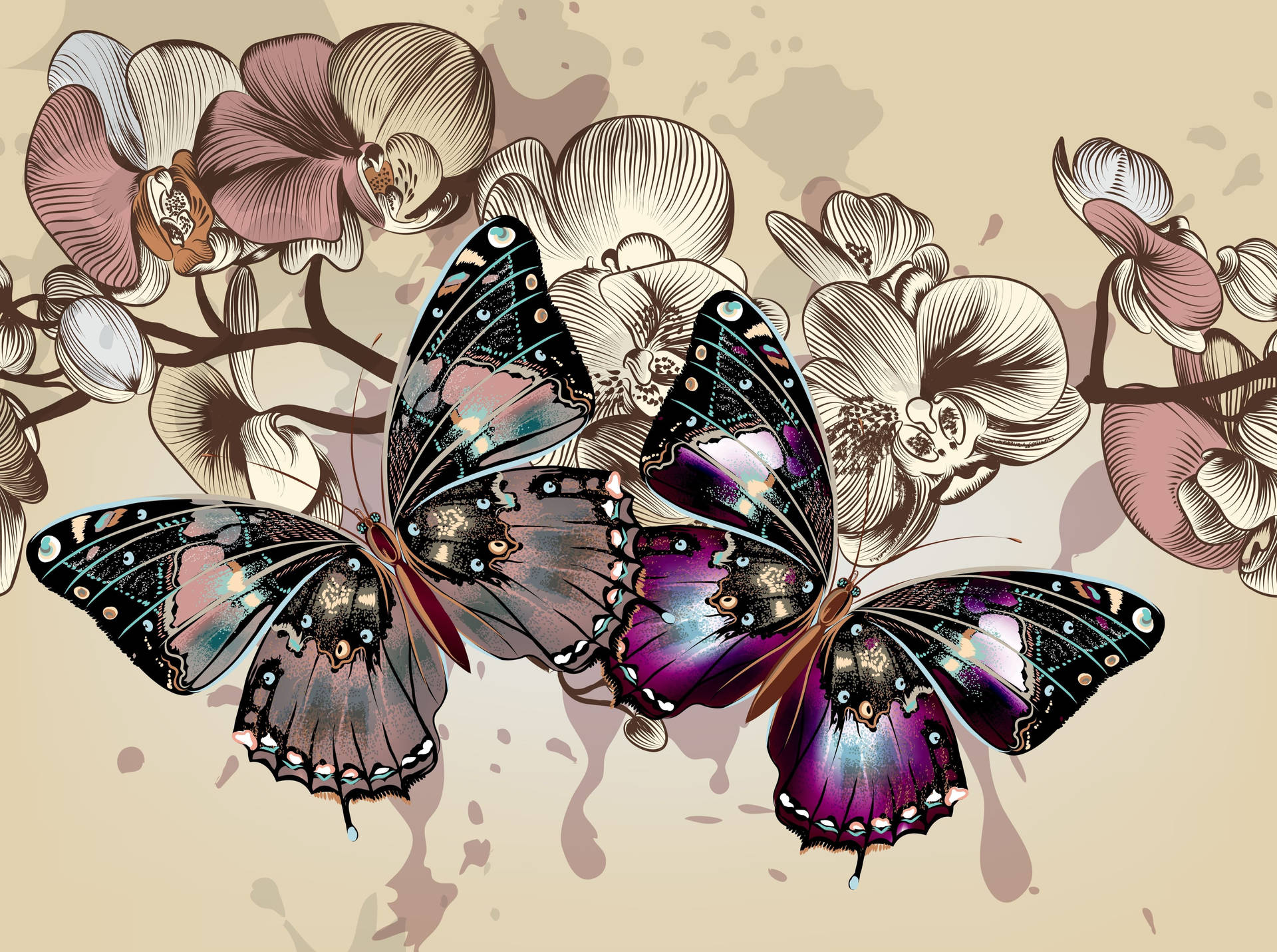 Colorful Butterflies' Wings Background