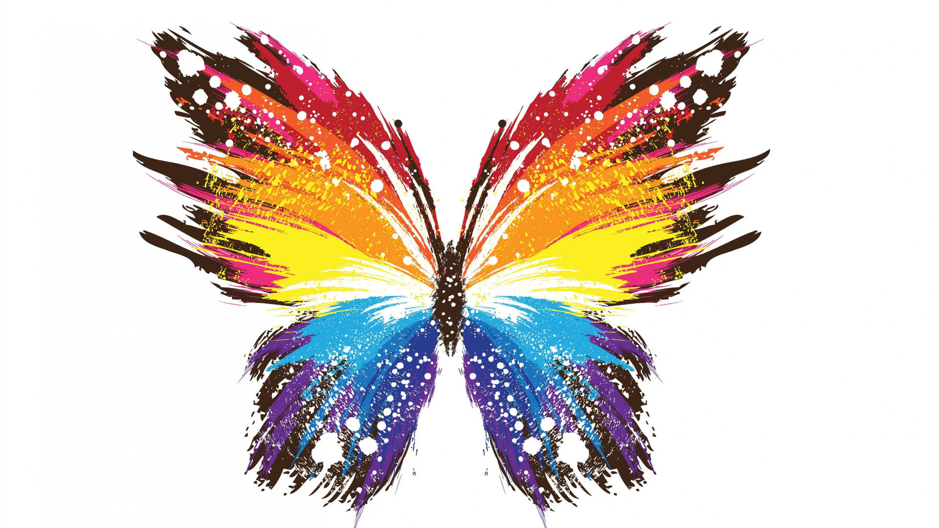 Colorful Butterfly Illustration Background