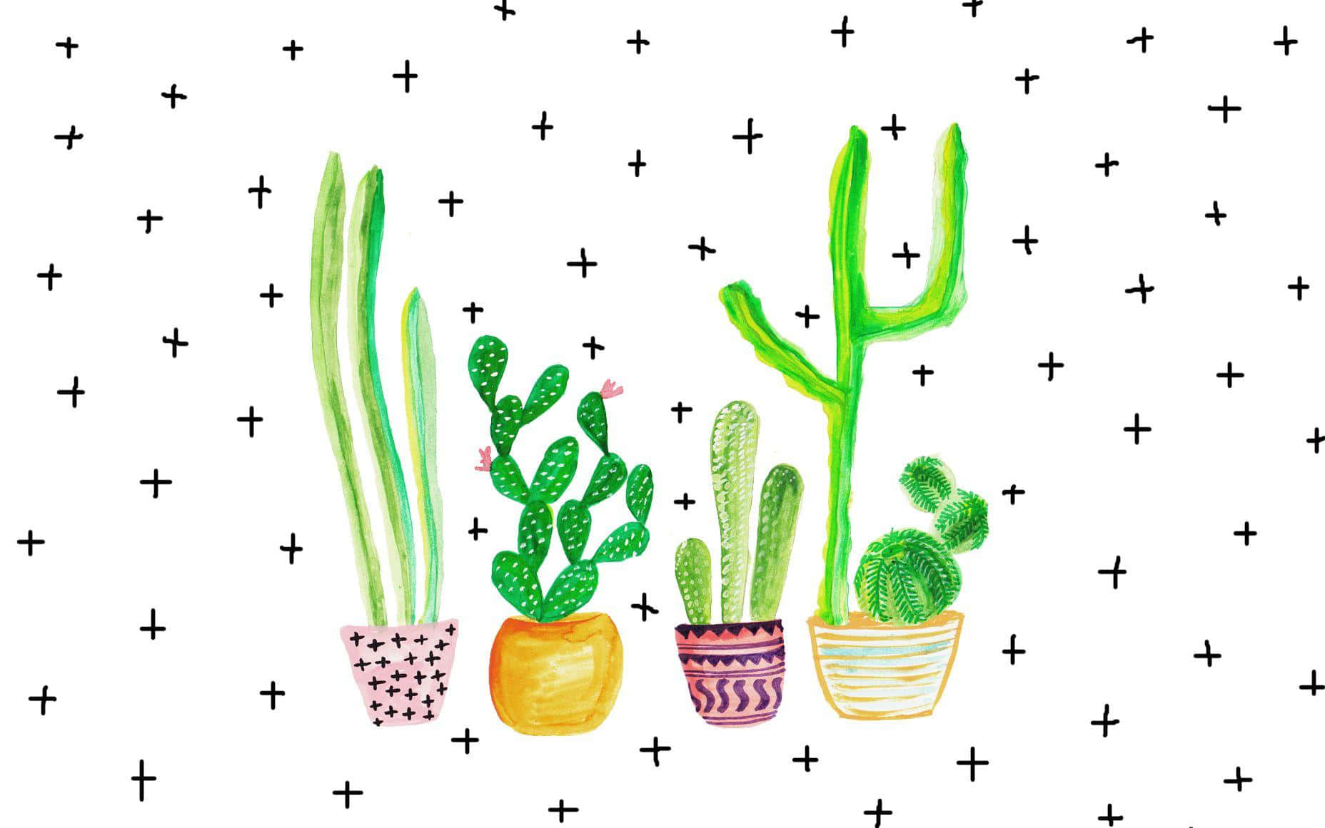 Colorful Cacti Collection Desktop Wallpaper Background