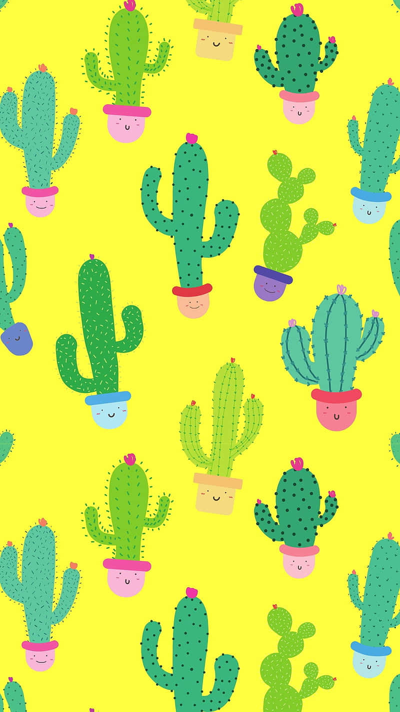 Colorful Cactus Cute Plant Background