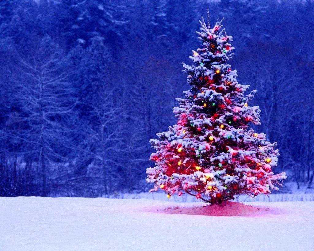Colorful Christmas Tree On Blue Forest Background