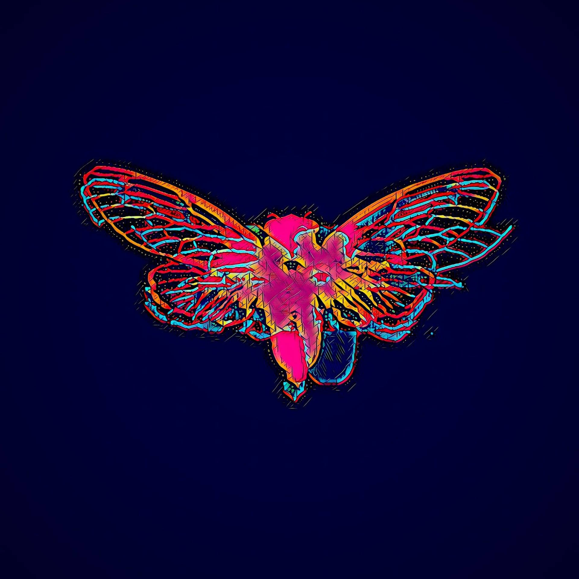 Colorful Cicada Art Background