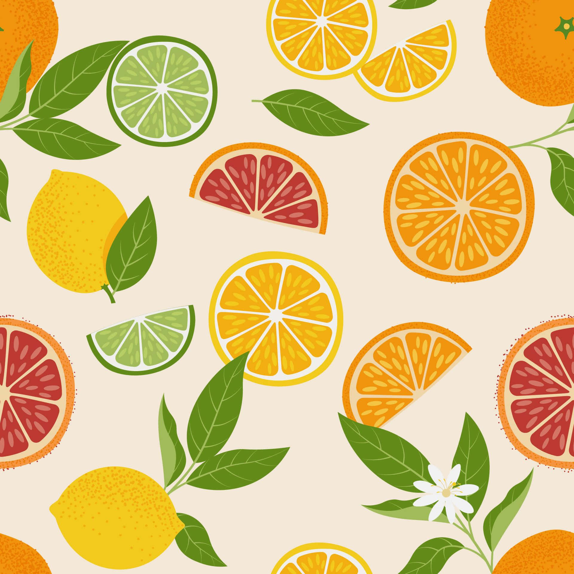 Colorful Citrus Fruits Pattern Background