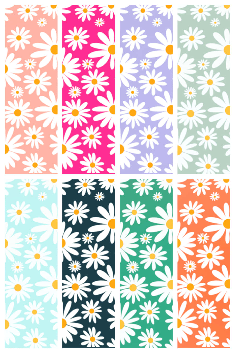 Colorful Daisy Patterns Collection Background