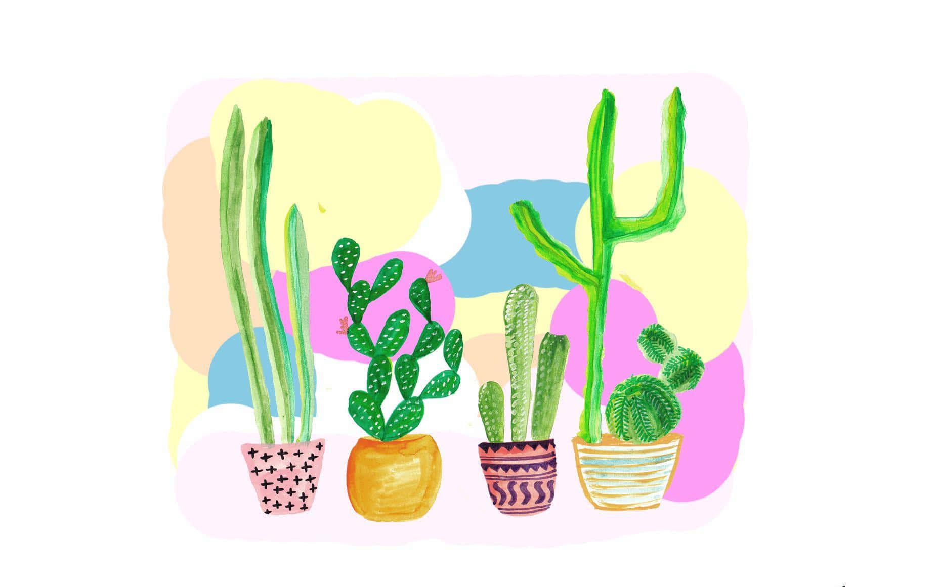 Colorful Desktop Cactus Illustration Background