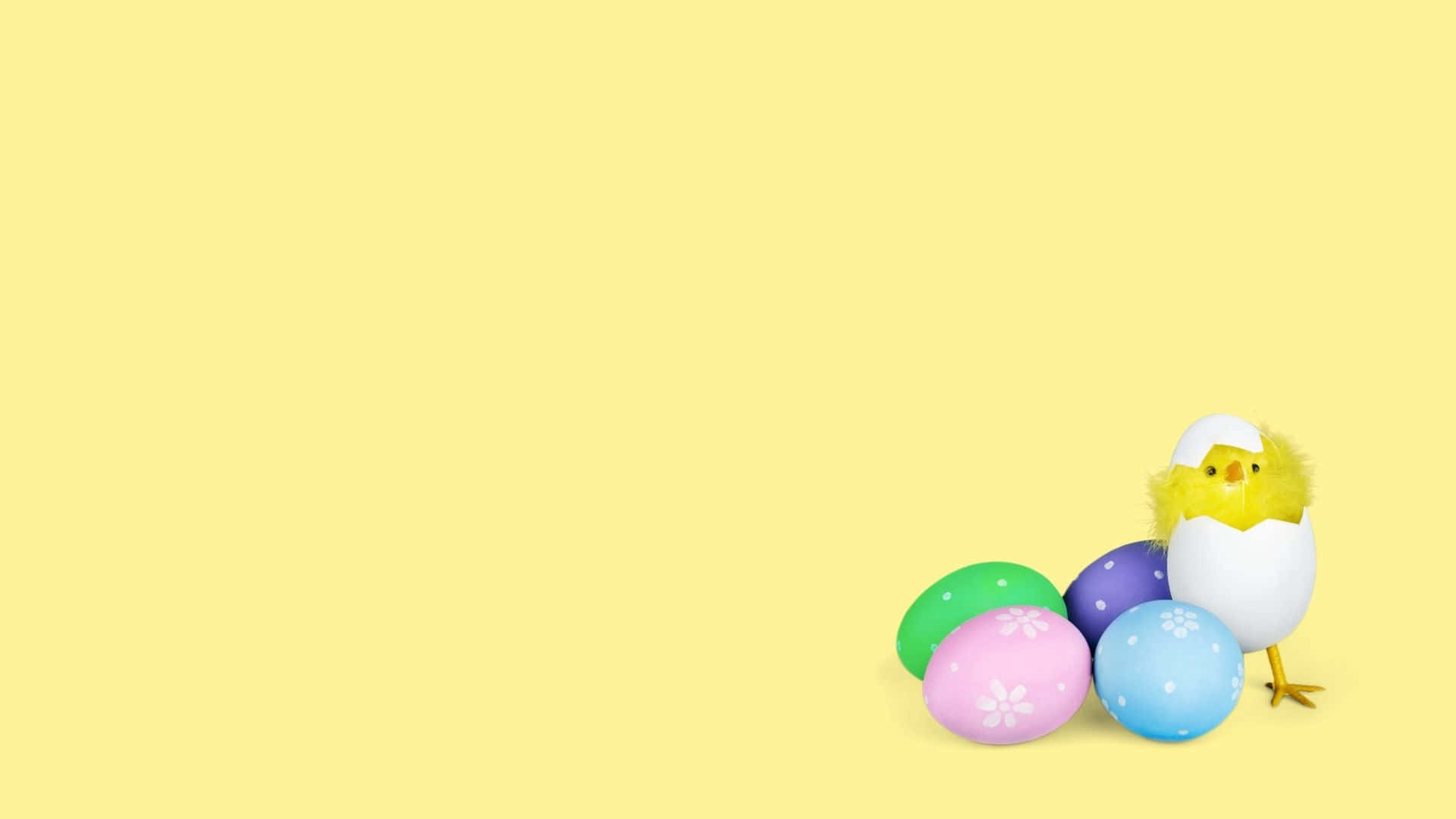 Colorful Easter Eggs Ready For A Hunt. Background