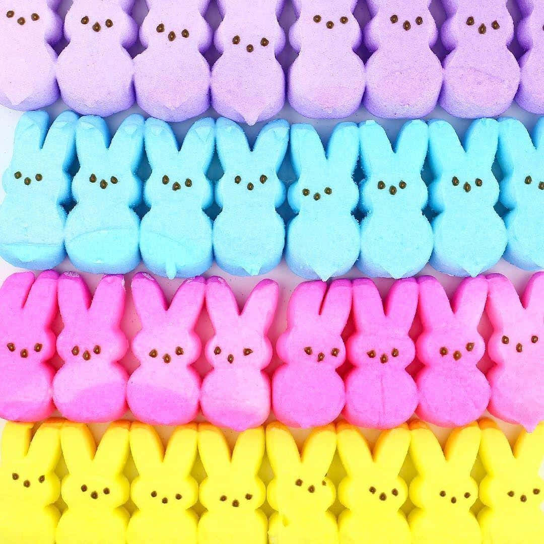 Colorful Easter Peeps Bunnies Background