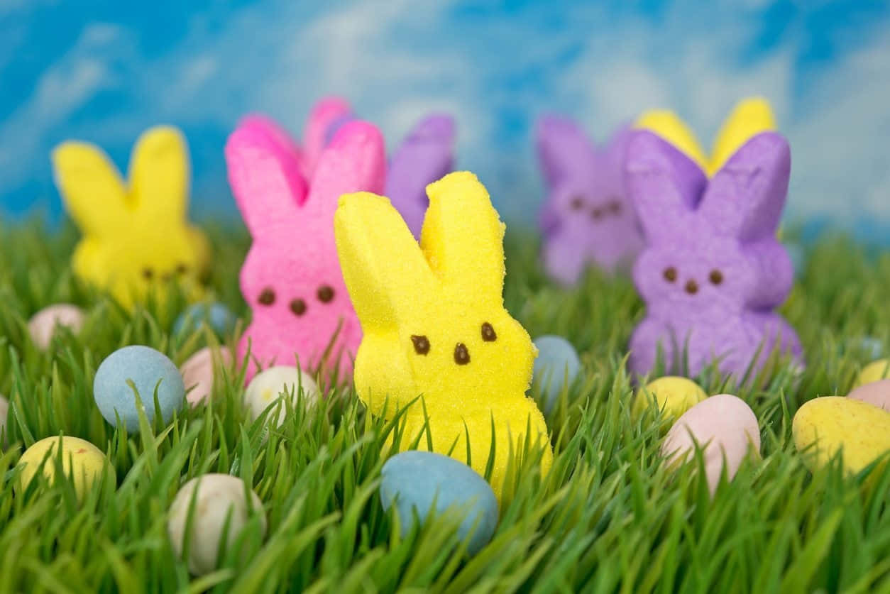 Colorful Easter Peepsin Grass Background