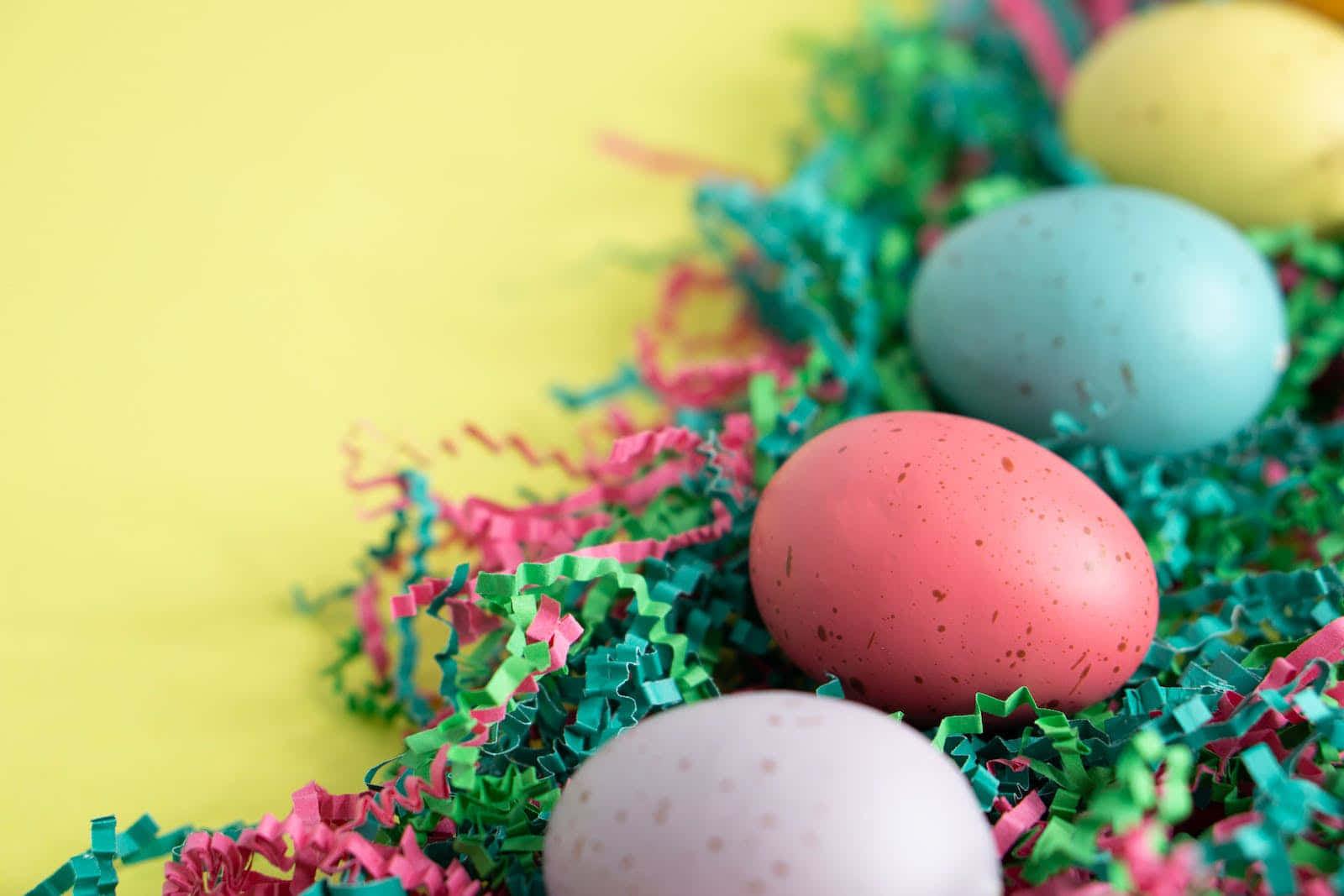 Colorful Eggs In Soft Pastel Shades For Easter.