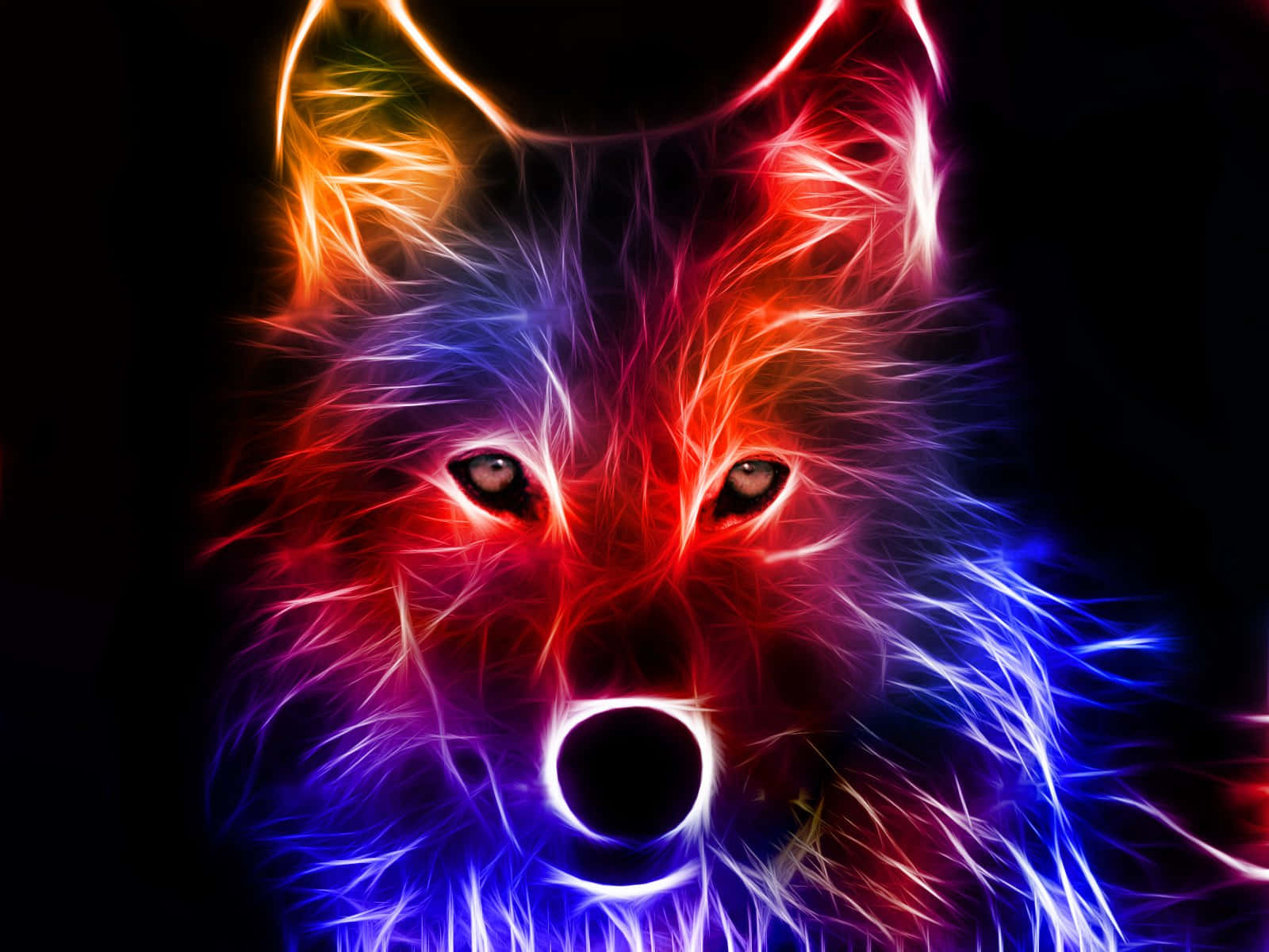 Colorful Epic Wolves Head Background