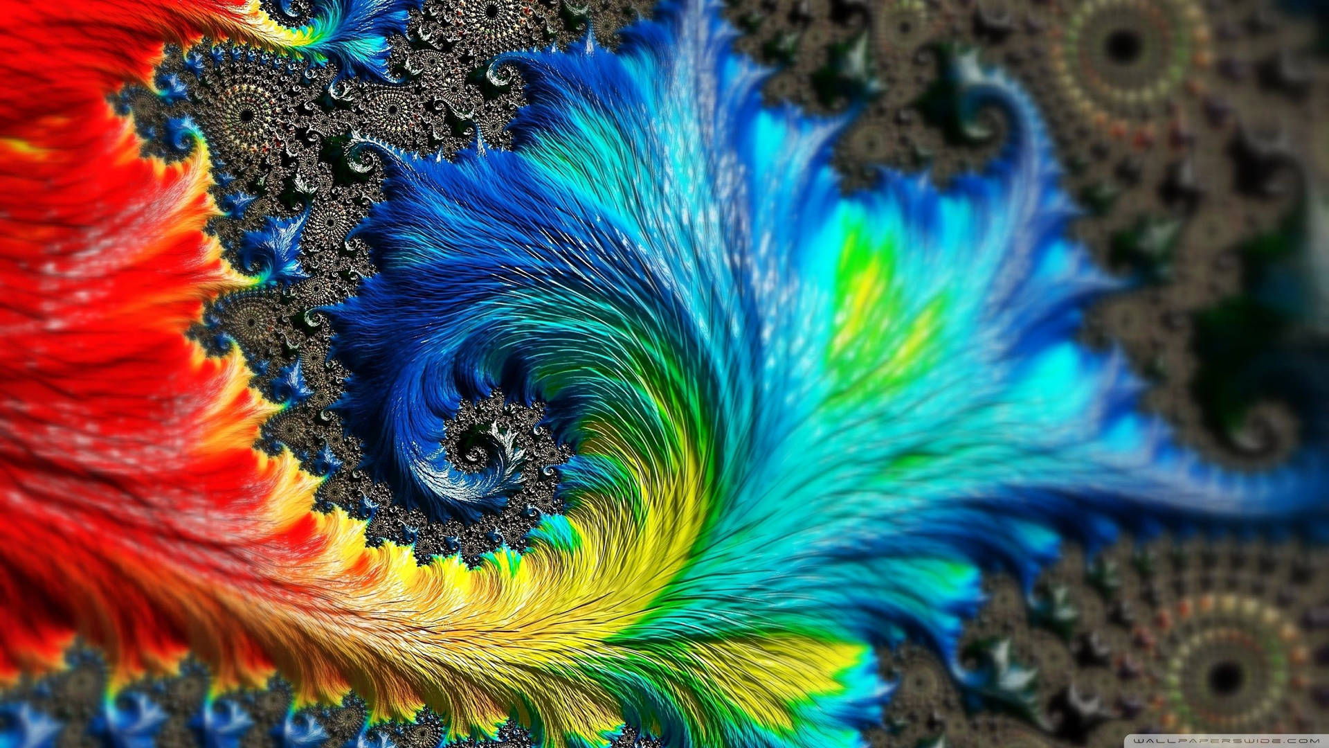 Colorful Feather Fractal Background
